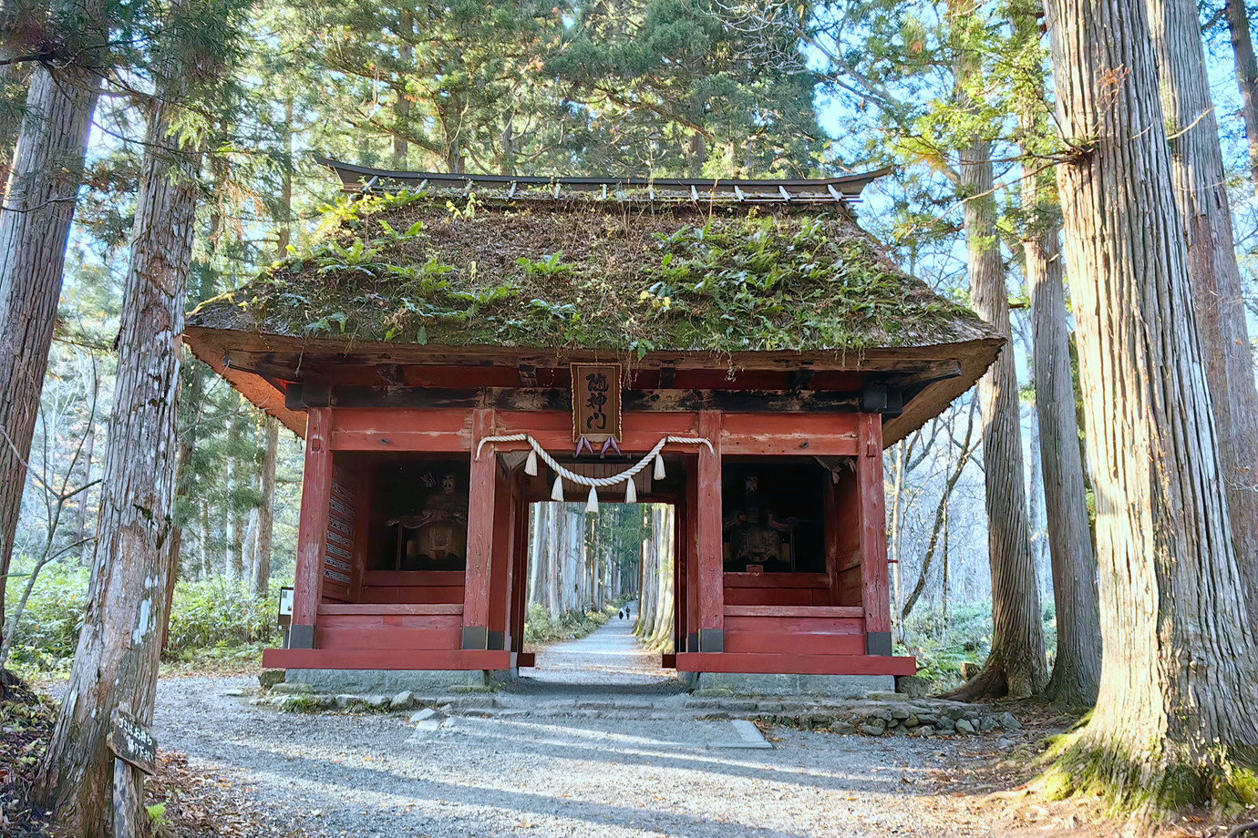 長野-戶隱神社